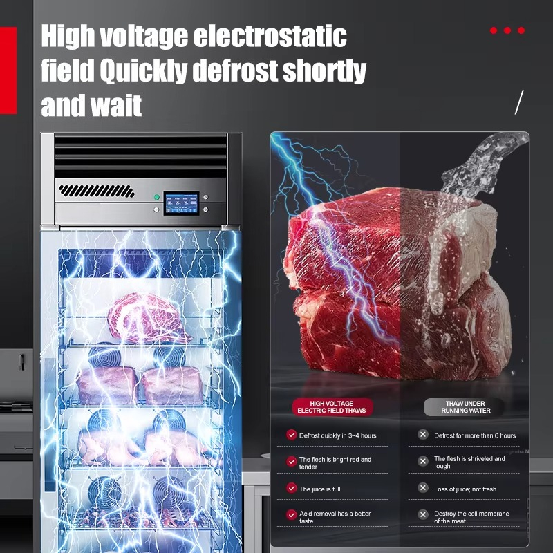 Armoire de décongélation intel - Commercial Kitchen Refrigerator avis et prix
