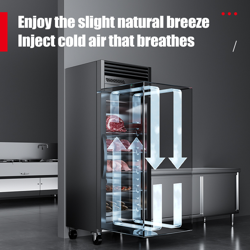 Armoire de décongélation intel - Commercial Kitchen Refrigerator avis et prix